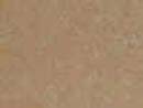 DUCKBACK DB-6060-4 FIELDSTONE MASON SELECT TRANSPARENT CONCRETE STAIN SIZE:1 GALLON.