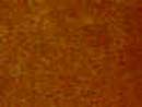 DUCKBACK DB-6080-4 MASON SELECT  TERRA COTTA TRANSPARENT CONCRETE STAIN SIZE:1 GALLON.